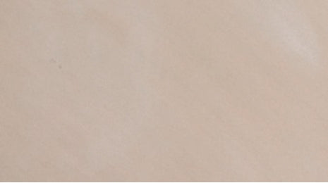 Dholpur Beige (Swan)