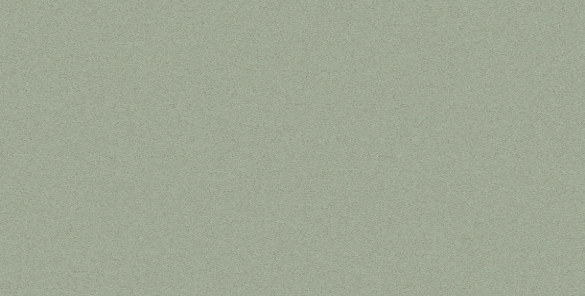 FYNEEN BURTON (BURTON CLAY)