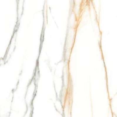 G4064 (2)