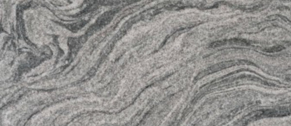 New Viscount White (2)