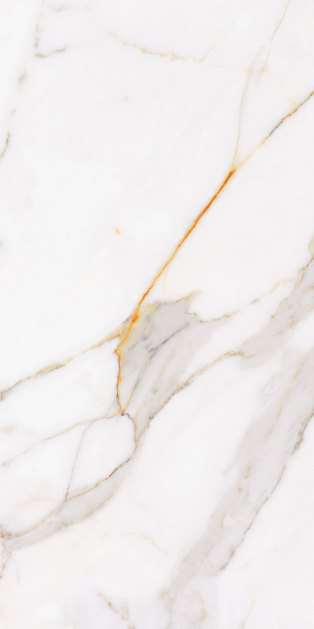 REGAL CARARA STATURIO