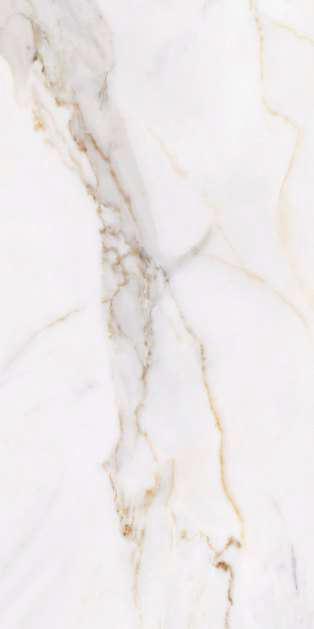 REGAL CARARA STATURIO