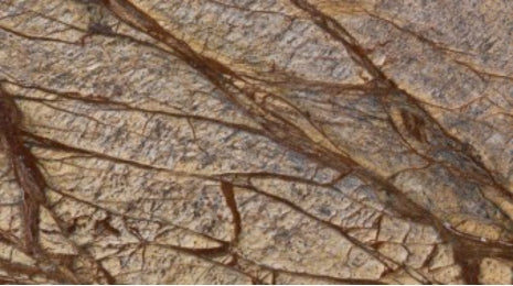 Rainforest Brown (Antique)