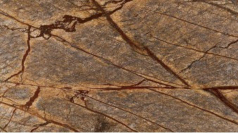 Rainforest Brown (Polish)