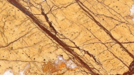 Rainforest Gold (Polish)