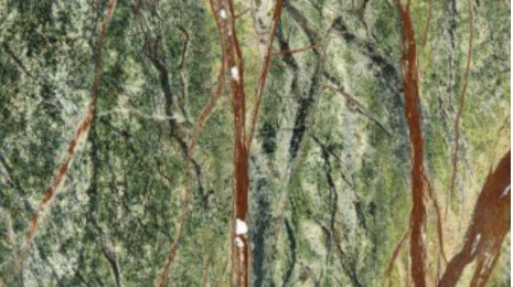 Rainforest Green (Polish)